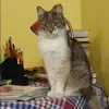 Отзыв от Василиса Абрамова